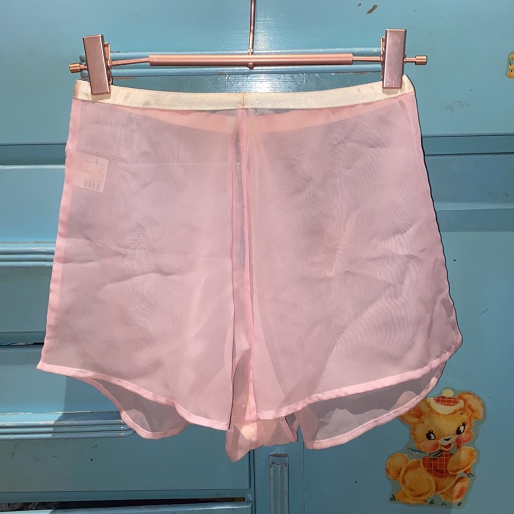 What Katie Did Sheer Pink Vintage-Style Play Briefs Pantie